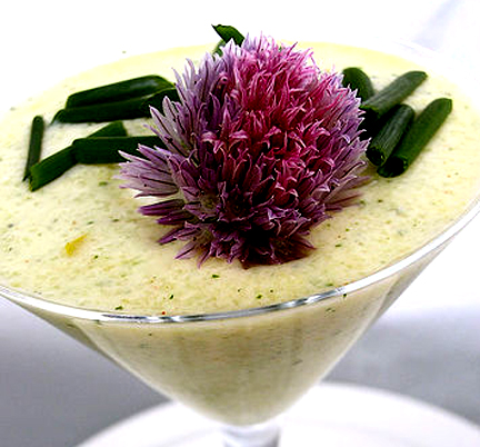 Cold Cucumber Soup Cold Cucumber Soup picture